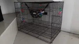 Rumah kandang sugar glider