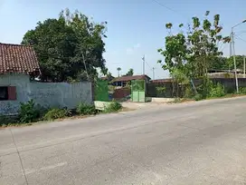 TANAH WONOREJO MOJOKERTO 52918 ASSET BANK, CASH ONLY