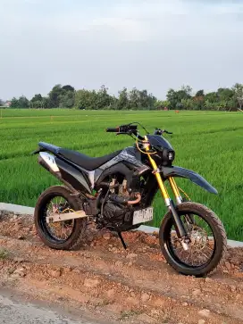 CRF 150 MP MONO