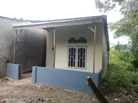 Jual Cepat Murah Meriah