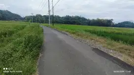 DIJUAL CEPAT  TANAH SAWAH TEPI JALAN ASPAL DI SLEMAN YOGYAKARTA