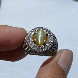 Natural Cat's Eye Chrysoberyl 3.01 crt