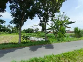 DiJual Tanah Sawah Pinggir Jalan Aspal
Lokasi Keceme caturharjo sleman