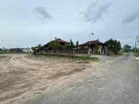 Tanah Murah Sleman di Jalan Damai, Lingkungan Cafe dan Homestay