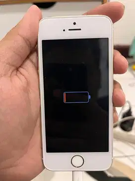 Iphone 5s 16gb Wifi Only