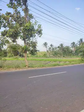 Dijual Tanah dekat kota Bondowoso