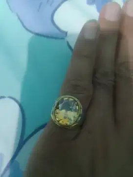 Permata cetrine mulus