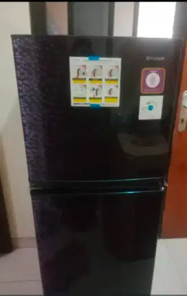 Kulkas sharp dua pintu