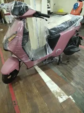 Sepeda listrik D75