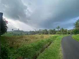 DIJUAL TANAH VIEW SAWAH LUAS 46,5 ARE DAERAH TABANAN