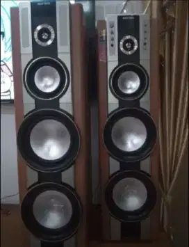 Salon speaker merk polytron