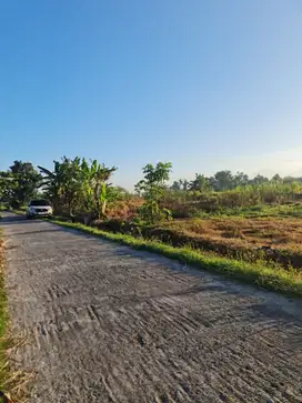 Promo Tanah Godean Jogja Termurah 2 Jt-an