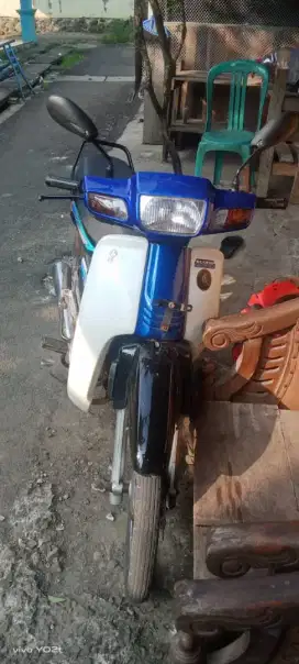 Astrea  jadulll