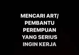DICARI ART PULANG PERGI