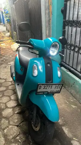 Forsale Fazzio 2023