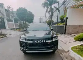 Land Cruiser LC300 GR antik