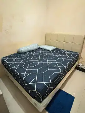 kasur springbed + dipan AIRLAND 160 x 200 (latex)