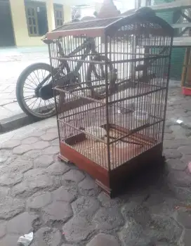 Jual sangkar uk 40 nek gk 37 bekas kacer