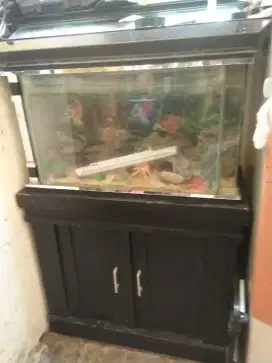 Aquarium plus meja