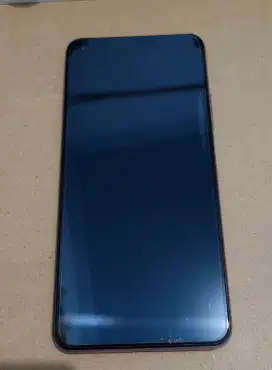 Xiaomi Mi 11 Lite