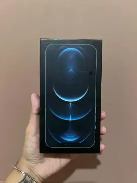 iPhone 12 Pro Max 256GB Sierra Blue Fullset - Kondisi Mulus No Minus