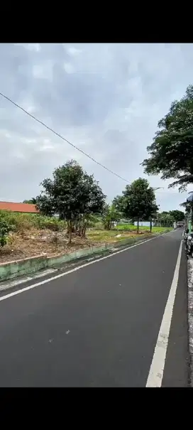 TANAH AREA SUHAT JALAN IKAN LUMBA LUMBA LOWOKWARU MALANG