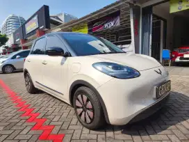 Wuling Binguo Premium Range 2024 410km