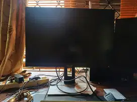 Monitor Asus ProART Display PA248QV
