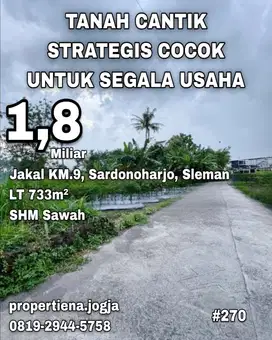 TANAH CANTIK STRATEGIS COCOK UNTUK SEGALA USAHA