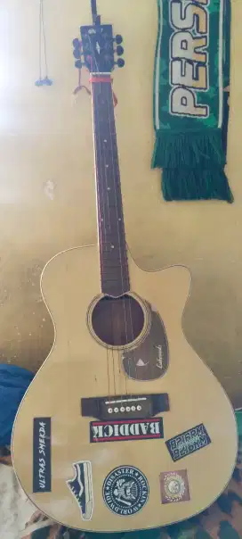 Di jual gitar akustik