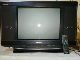 TV 21inc SHARP SLIM