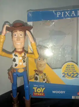 Action Figure woody toy sory