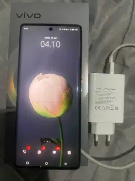 Vivo V29 5G 8/256