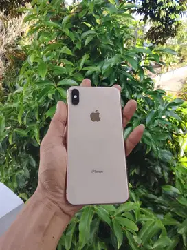 iPhone XS MAX 256gb