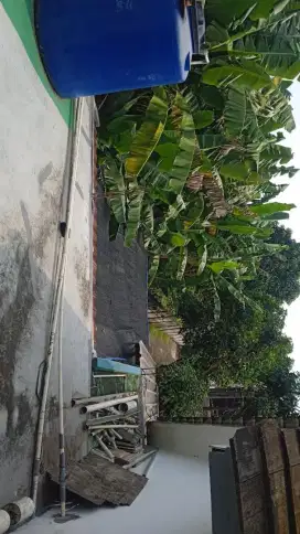 Rumah dg lingkungan nyaman dan tenang