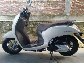 Scoopy putih mulus