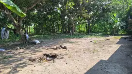 Dijual tanah luas 1.196 m2