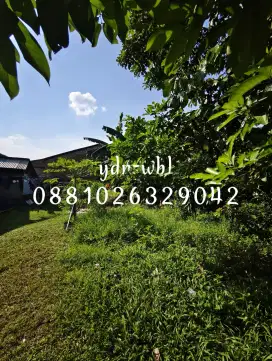JUAL TANAH DI DUREN SERIBU, BOJONGSARI, DEPOK
