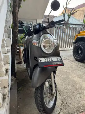 Scoopy stylish matte 2019