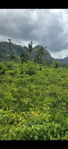 Di jual tanah exotic ,Sidemen, Karangasem, Bali