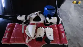 BODYSET | BODY PROTECTOR SET LIKE NEW