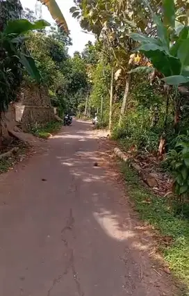 Tanah murah Jatisari Cangkuang Kab bandung