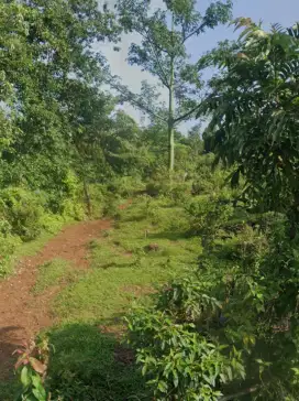 Tanah di kec. Tenjo
