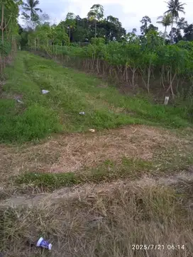 Di jual tanah kavling luas 160m2