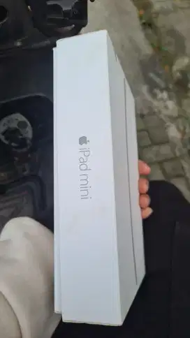 ipad mini 4 ibox