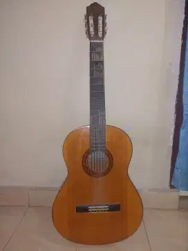 Gitar yamaha C315