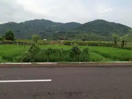 Tanah di pinggir jalan aspal Kuripan Lombok Barat