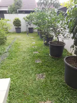 Dijual Rumah Taman Holis Indah