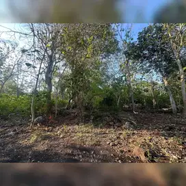 Ocean View Land for Lease in Uluwatu Pecatu, Near Six Senses