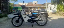 Astrea Grand Bulus 1993